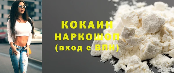 гидра Белокуриха