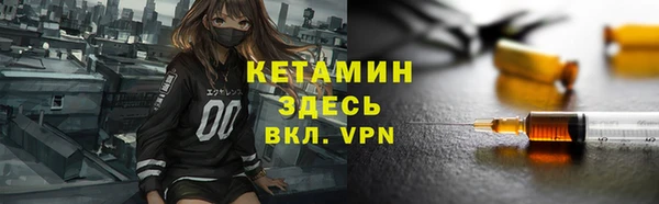 индика Сатка