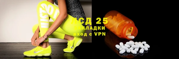 гидра Белокуриха