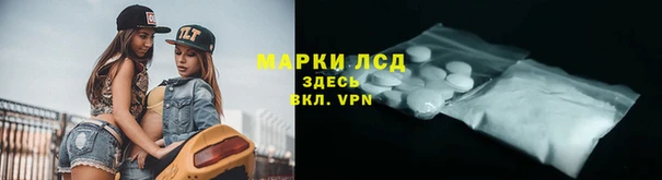 гидра Белокуриха