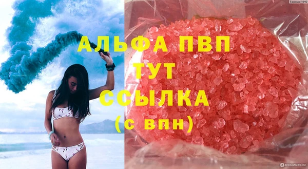 индика Сатка