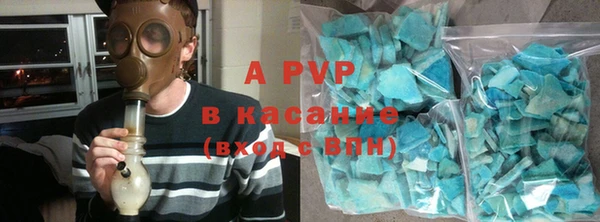 гидра Белокуриха